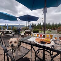 Blue Mountain Brewery in Afton, Virginia - 4.60 star rating