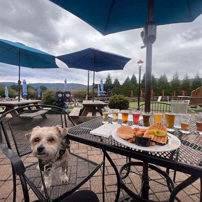 Blue Mountain Brewery