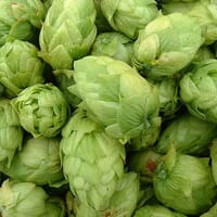 Home Brew Supply Store (Gary's) in Pensacola, Florida - 4.80 star rating
