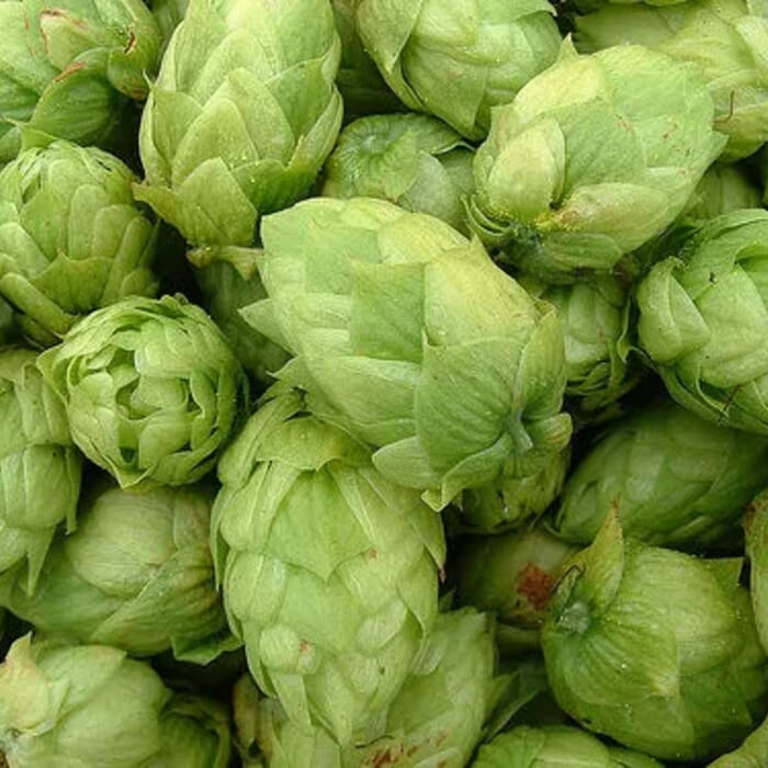 Home Brew Supply Store (Gary's)