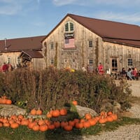 Stone Cow Brewery in Barre, Massachusetts - 4.70 star rating