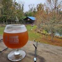 Swamp Head Brewery in Gainesville, Florida - 4.80 star rating