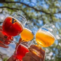 Vintage Brewing Co. Madison in Madison, Wisconsin - 4.40 star rating