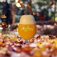 Wedgewood Brewing Company in Middlebury, Indiana - 4.80 star rating