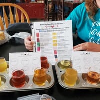 Brookview Winery & Cidery in Milaca, Minnesota - 4.90 star rating
