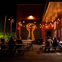 Xul Beer Company in Knoxville, Tennessee - 4.80 star rating