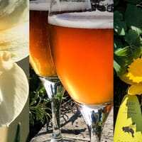 Propolis Brewing in Port Townsend, Washington - 4.70 star rating