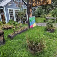 Denali Brewing Mercantile in Talkeetna, Alaska - 4.00 star rating