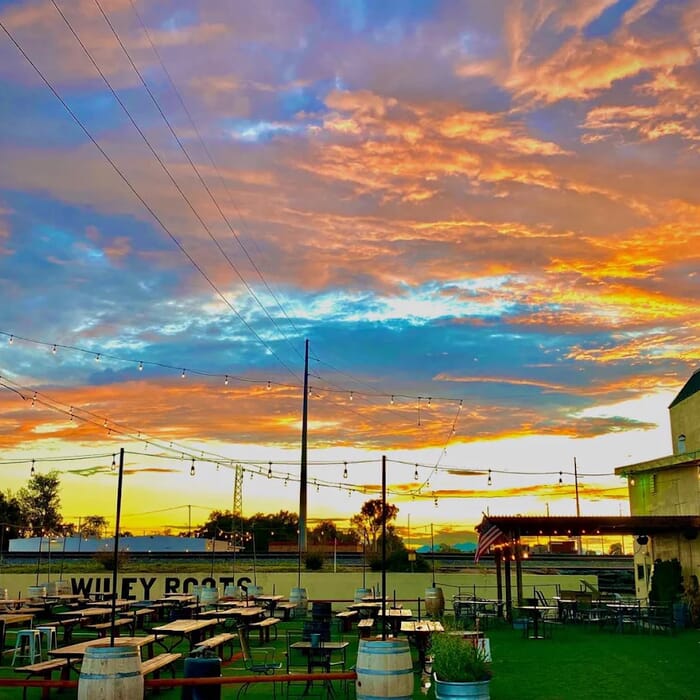 Wiley Roots Brewing Company