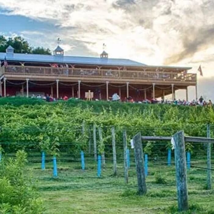 The Vineyard & Brewery at Hershey