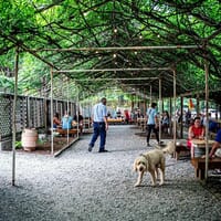 3rd Turn Oldham Gardens in Crestwood, Kentucky - 4.70 star rating