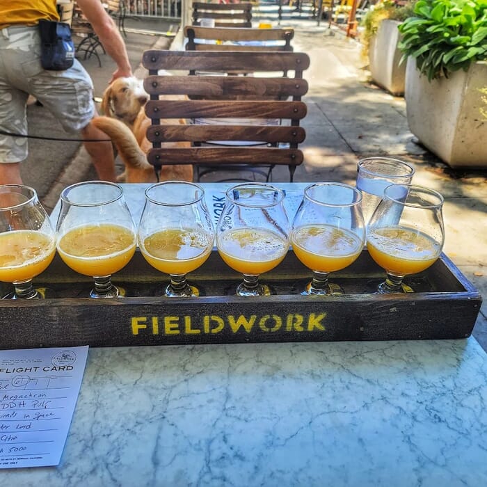 Fieldwork Brewing Company - Sacramento