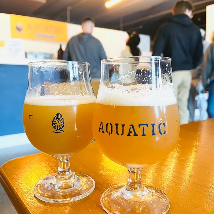 Aquatic Brewing