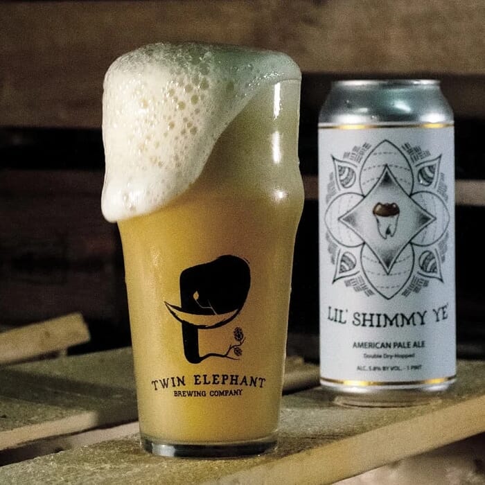Twin Elephant Brewing Company