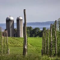 Climbing Bines Hop Farm & Brewery in Penn Yan, New York - 4.60 star rating