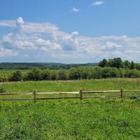 Folklor Wine & Cider in Norwood Township, Michigan - 5.00 star rating