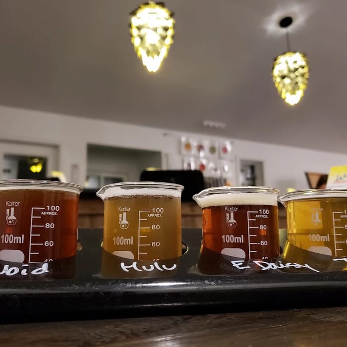 Fibonacci Brewing Company