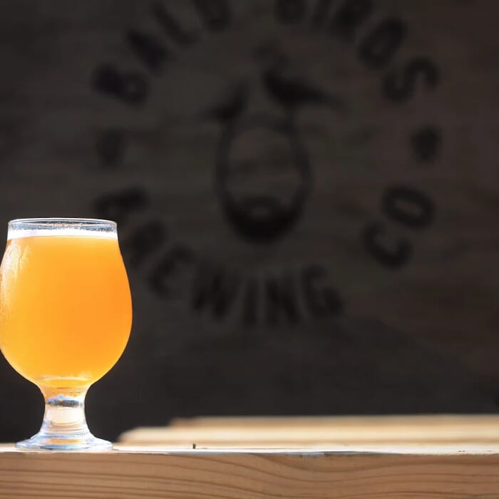 Bald Birds Brewing Company