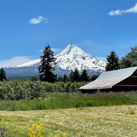 Solera Brewery in Mt Hood, Oregon - 4.70 star rating