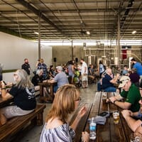 Texas Leaguer Brewing Company in Missouri City, Texas - 4.80 star rating