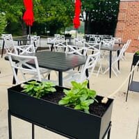 Local Pizza and Brewery in Chesterfield, Virginia - 4.70 star rating