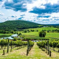 Hillsborough Vineyards & Brewery in Hillsboro, Virginia - 4.50 star rating