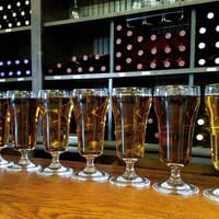 Life Is Hard Cider in Mt Jackson, Virginia - 5.00 star rating