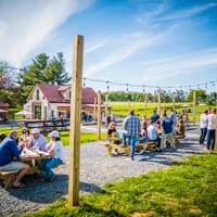 Wheatland Spring Farm + Brewery in Waterford, Virginia - 4.70 star rating