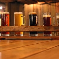 One World Brewing in Asheville, North Carolina - 4.60 star rating