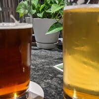 Top Down Brewing Company, LLC in Sumner, Washington - 4.70 star rating