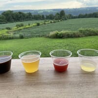 Owasco Lake Brewing in Moravia, New York - 4.90 star rating