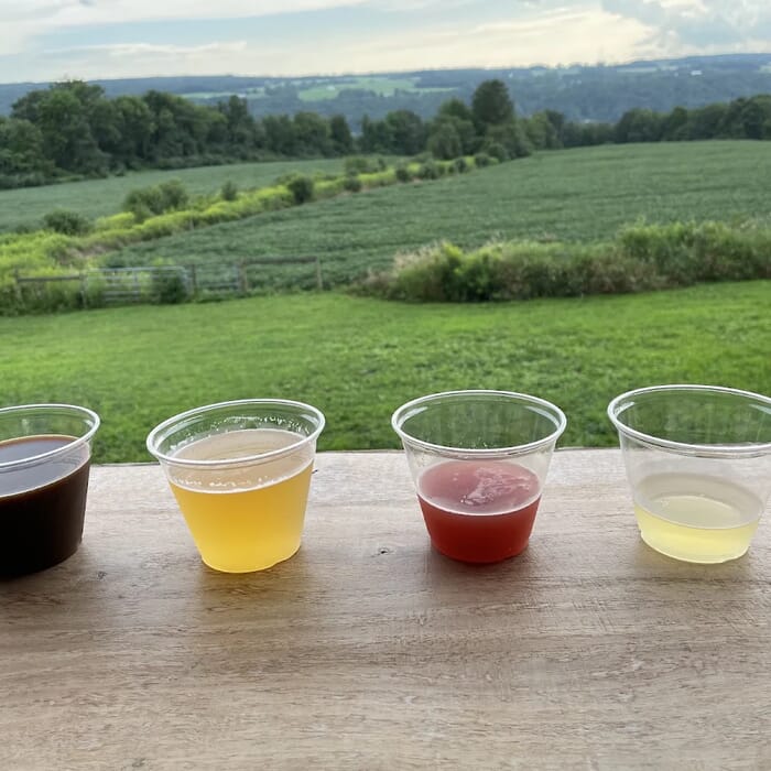 Owasco Lake Brewing