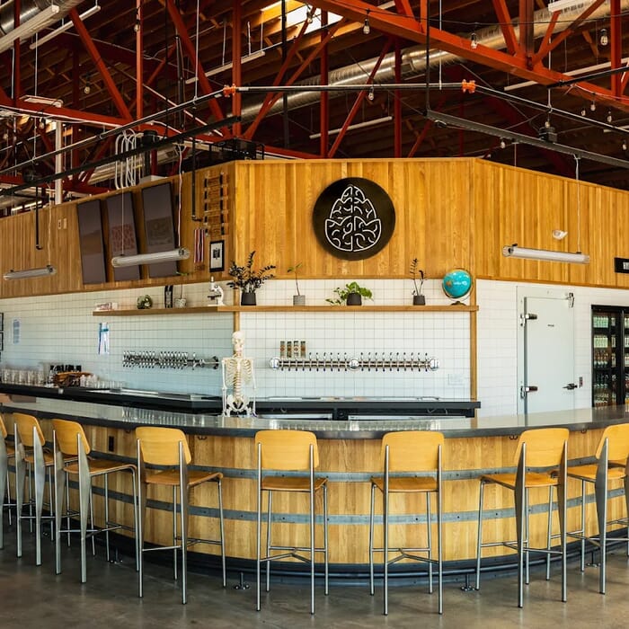 Cerebral Brewing - Aurora Arts