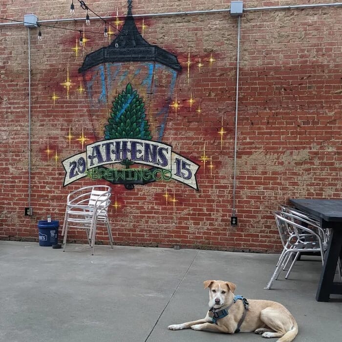 Athens Brewing Co
