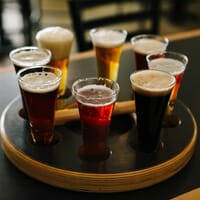 Brewery Terra Firma in Traverse City, Michigan - 4.70 star rating