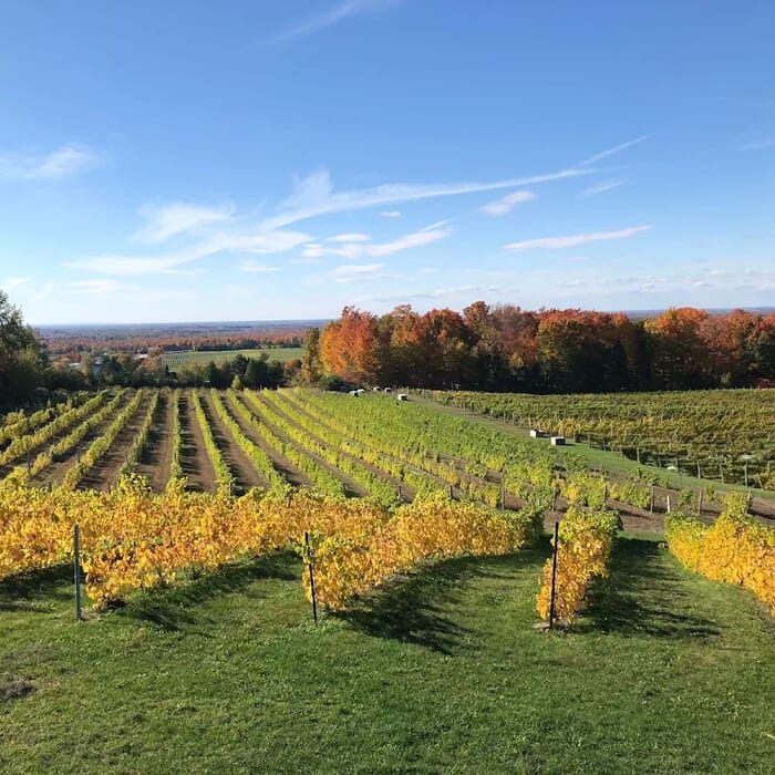 Domaine Cotes d'Ardoise - Winery & Cidery