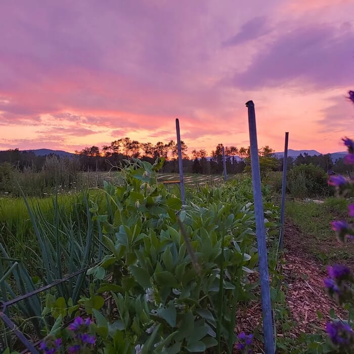 Le Jardin de la Simplicité - Winery / Cidery / Nano-Distillery