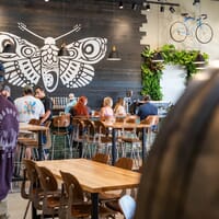 Nocterra Brewing Co. - Audubon in Columbus, Ohio - 4.50 star rating