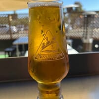 Humdinger Brewing in Arroyo Grande, California - 4.80 star rating
