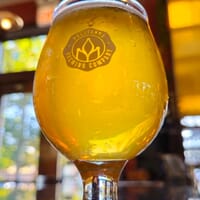 Pollyanna Brewing Company - Lemont in Lemont, Illinois - 4.60 star rating