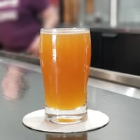Funguys Brewing in Raleigh, North Carolina - 4.80 star rating