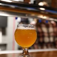 Appalachian Sun Brewery LLC in Elizabethton, Tennessee - 5.00 star rating