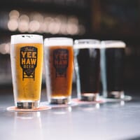 Yee-Haw Brewing Company in Johnson City, Tennessee - 4.60 star rating