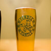 Ferdle Turtle Brewing Company in Schuylerville, New York - 5.00 star rating