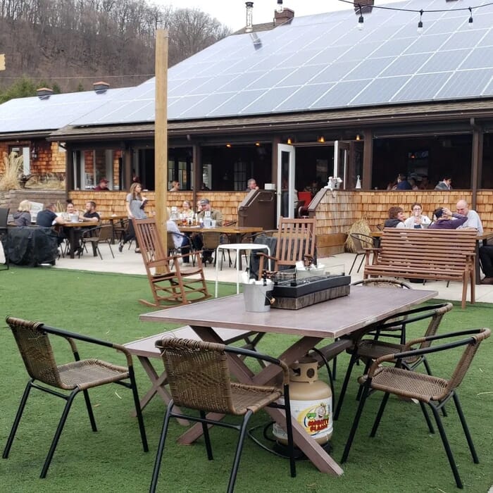 Shy Bear Brewing