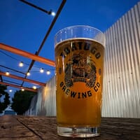 Tortugo Brewing Company in Inglewood, California - 4.70 star rating