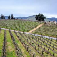 Gold Hill Vineyard and Brewery in Placerville, California - 4.30 star rating
