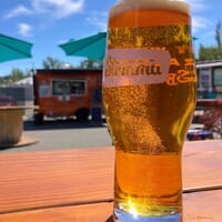 Stemma Brewing Company in Bellingham, Washington - 4.80 star rating