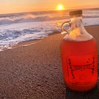 High Steel Beer Co. in Shelton, Washington - 4.60 star rating