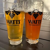 Watts Brewing Company in Woodinville, Washington - 4.80 star rating